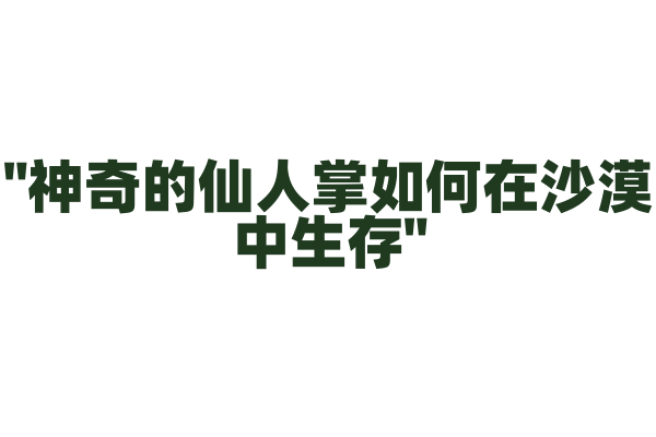 "神奇的仙人掌如何在沙漠中生存"